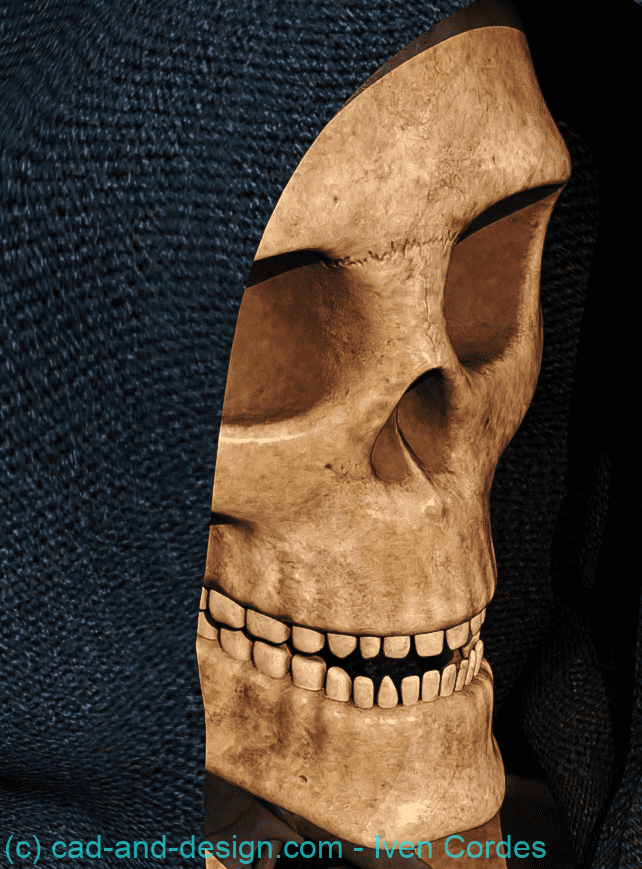Retrato de la Muerte